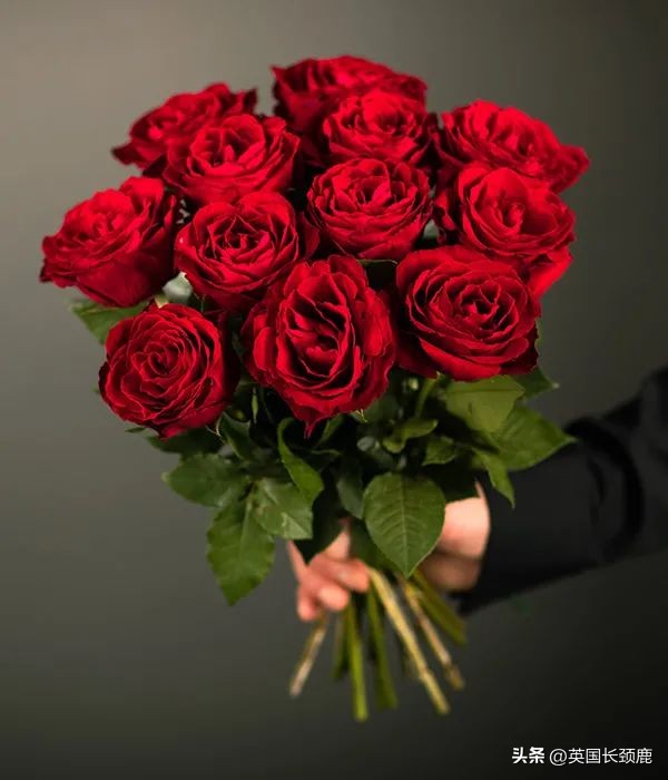 全英线上订花攻略:情人节限定fafa~爱你的心用花表示!