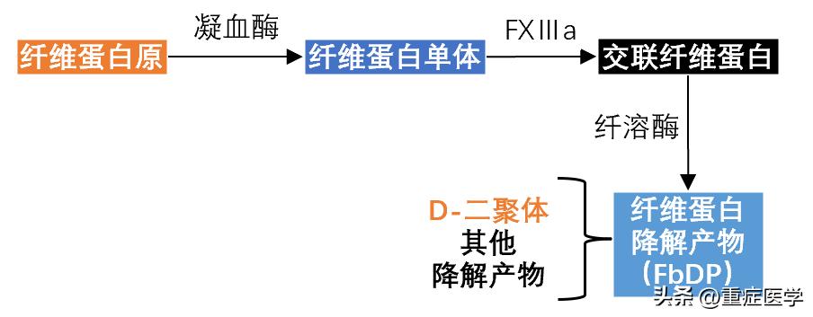 怀孕d二聚体升高的临床意义,D-二聚体偏高什么意思