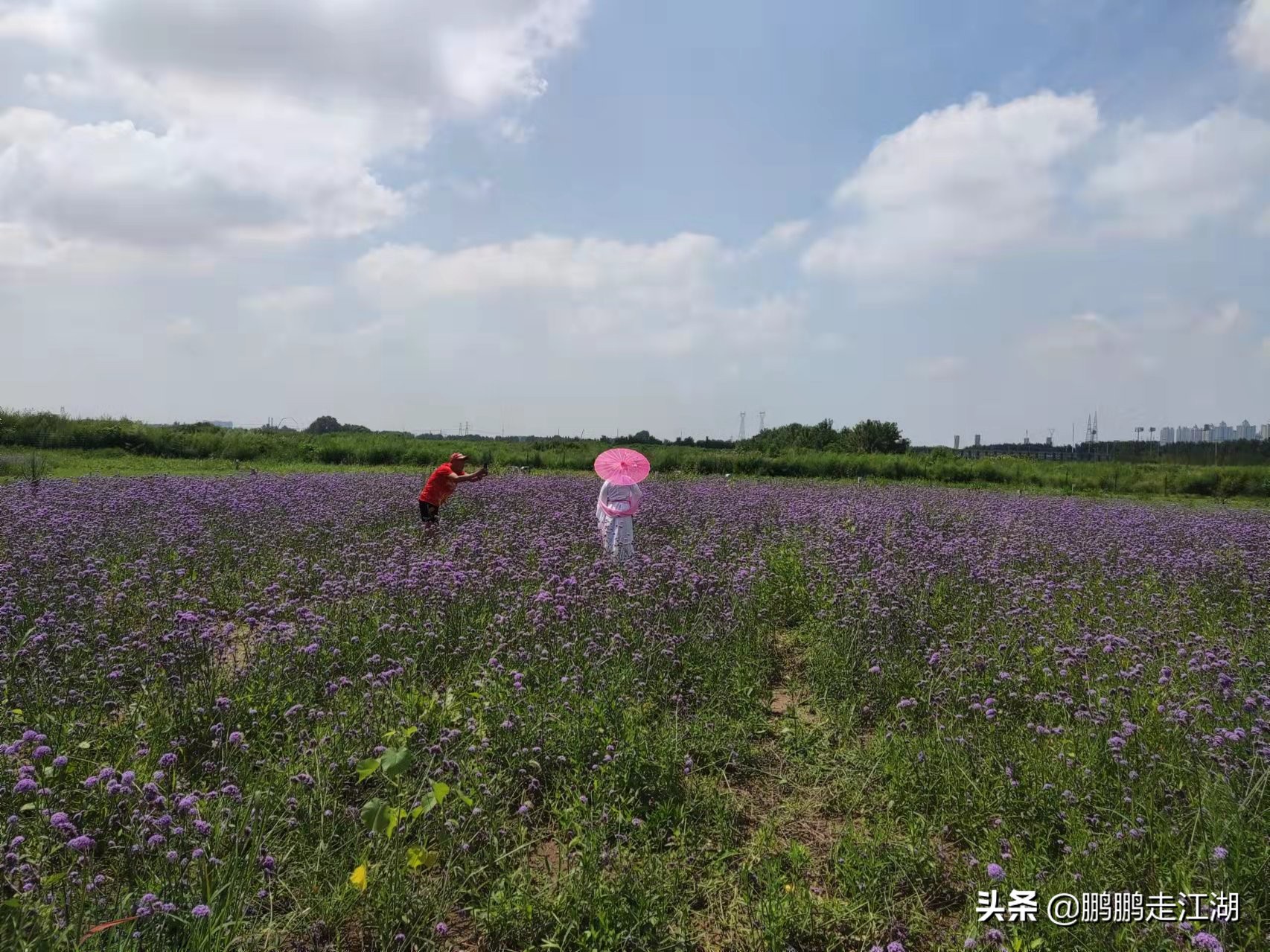 沈阳湖边免费打卡地方,沈阳乡村小镇旅游景点