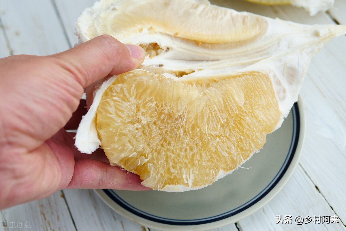 什么品种的柚子皮薄又大又甜,适合院子里种的柚子优良品种