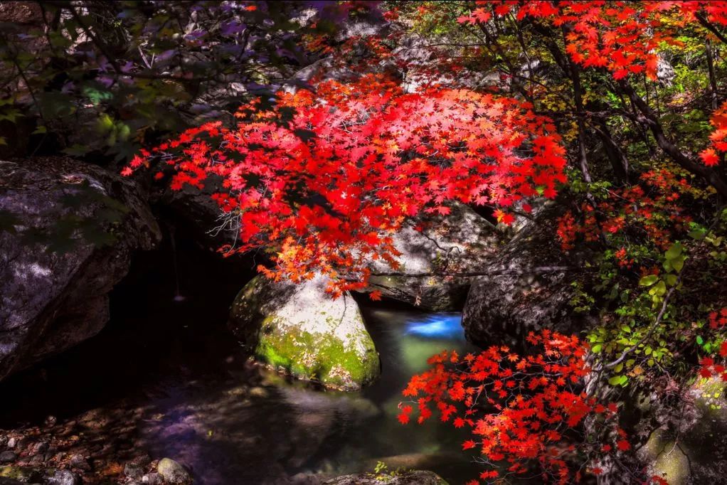 你不了解的沈阳,你以为的丹东