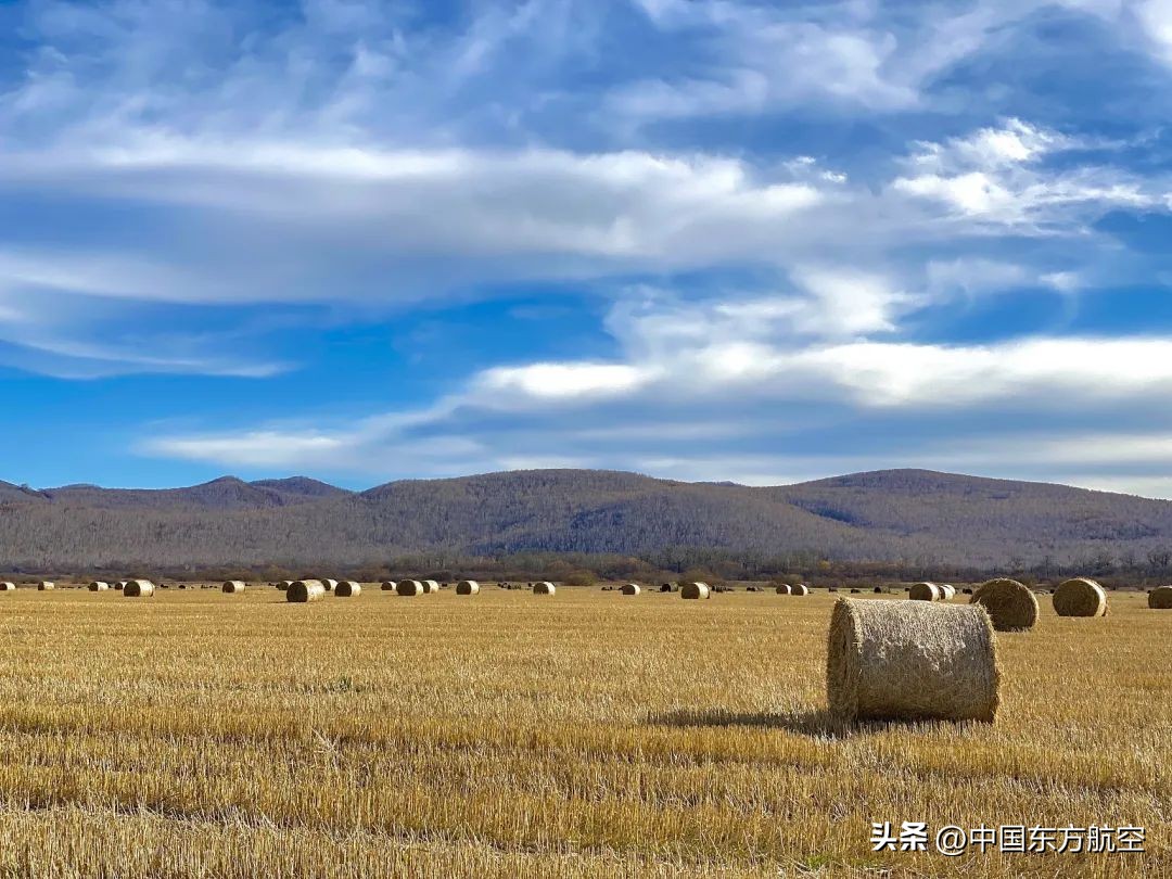 邀你来一场秋天的约会,和秋天来一场约会