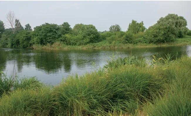 閲屼笅娌冲北,閲屼笅娌冲钩鍘熸槸鍝噷