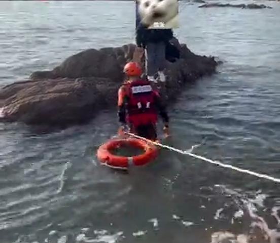 青岛人在囧途原版,人在囧途青岛