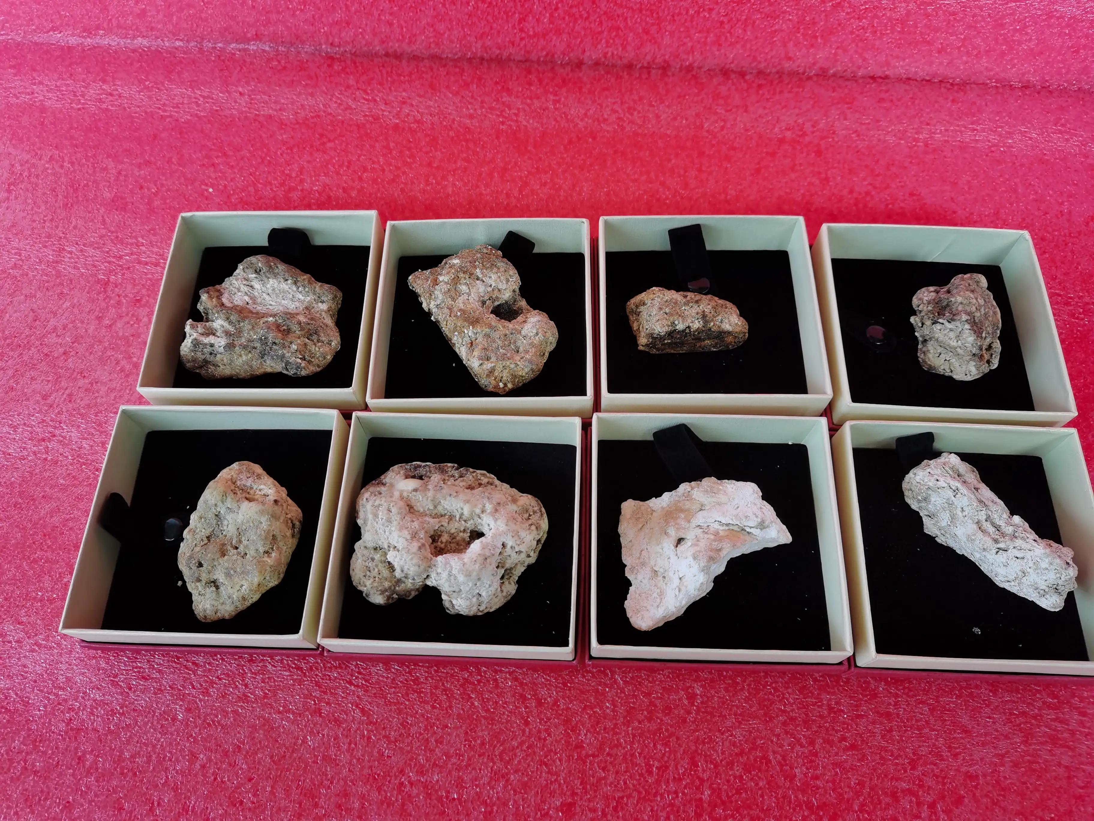 龙涎香手串珍贵吗价格多少,沉香和龙涎香哪个珍贵