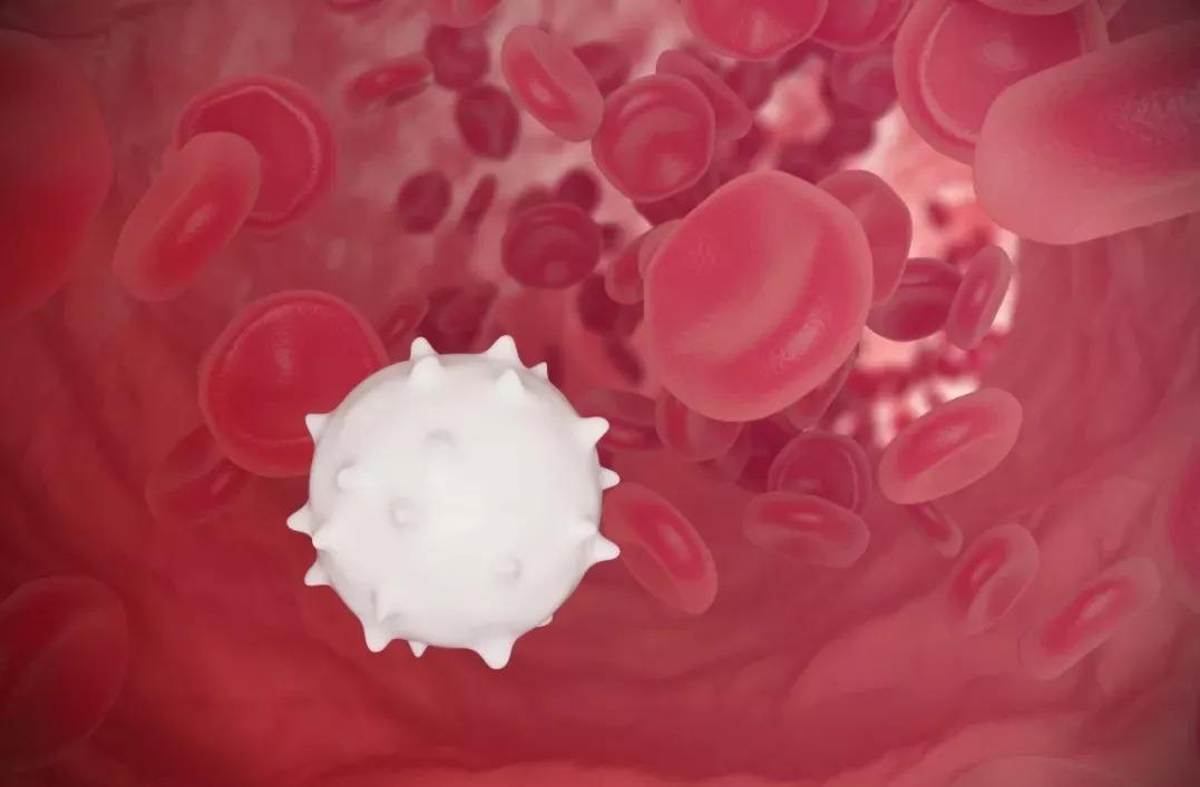 血常规炎性指标明显升高,新生儿血常规各项指标升高