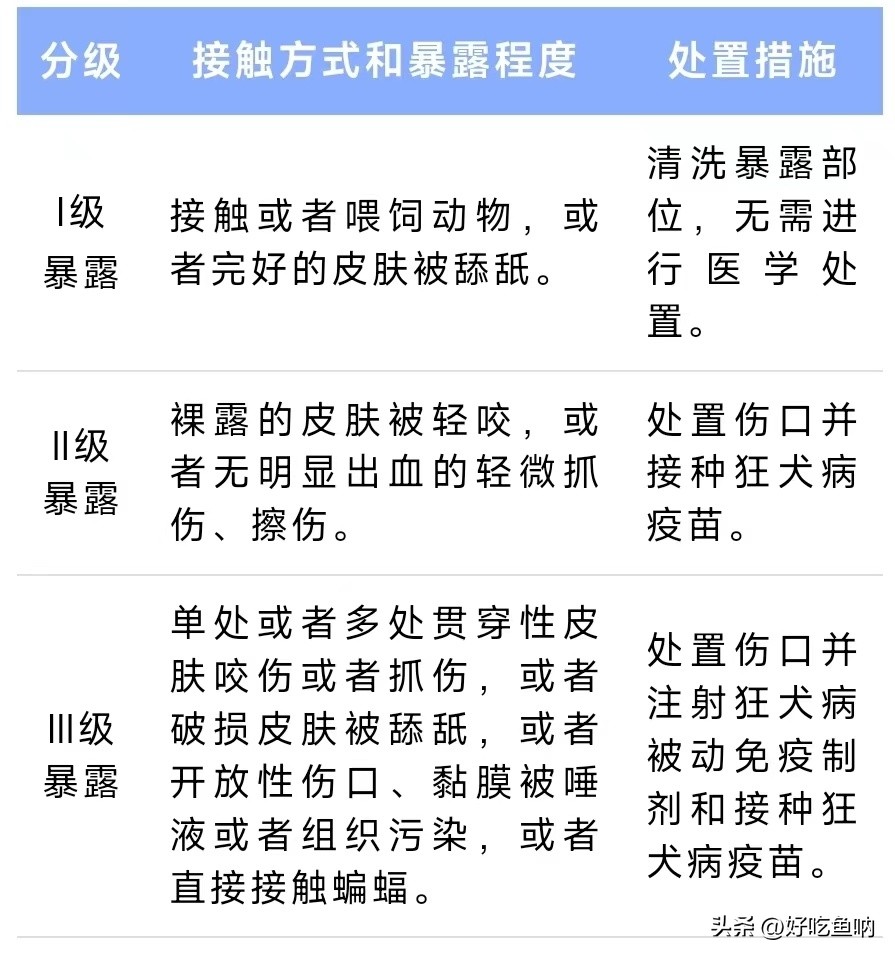 2岁女孩被撕咬受伤严重，烈犬罗威纳是什么来头？被狗咬伤怎么办