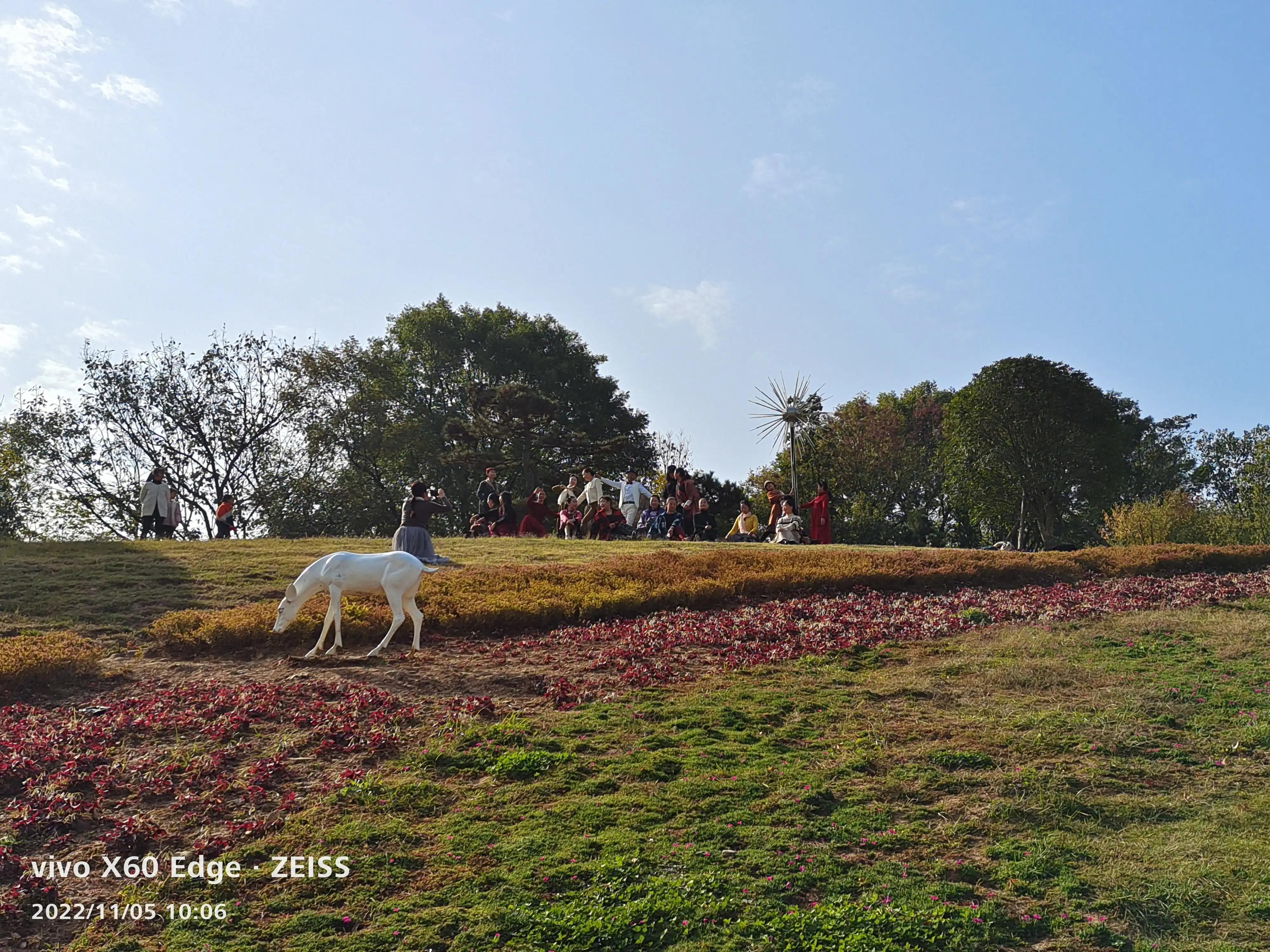 信阳羊山新绿廊公园,信阳最好的森林公园