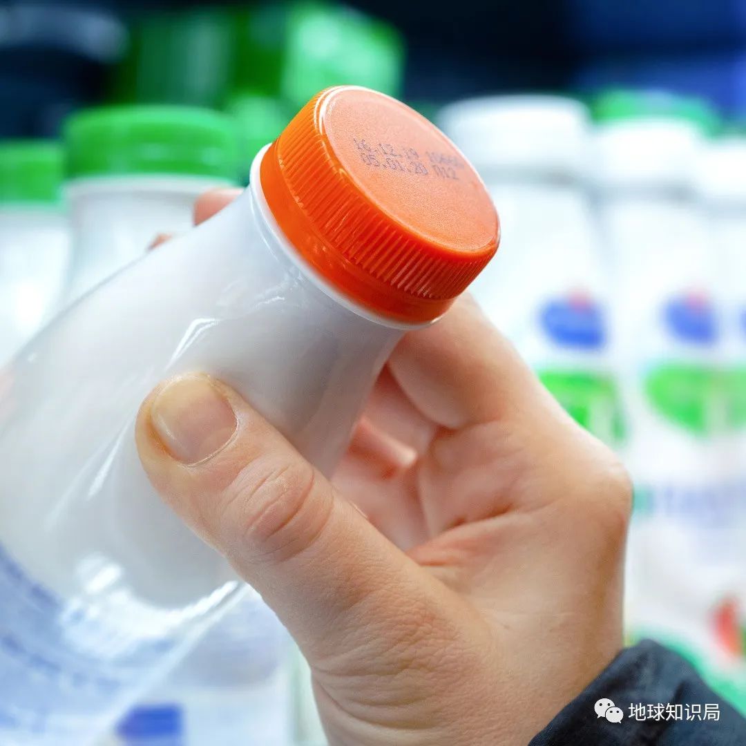 没洗干净的猪大肠到底臭不臭,猪大肠3年没洗是真的吗