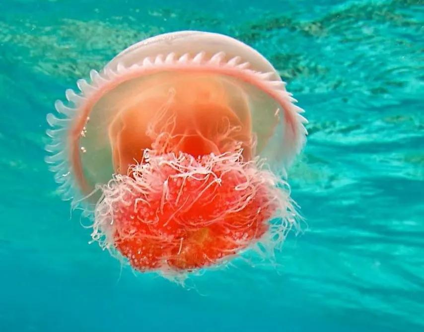 中国海岸线看海攻略,中国看海最美最值得去的18个地方