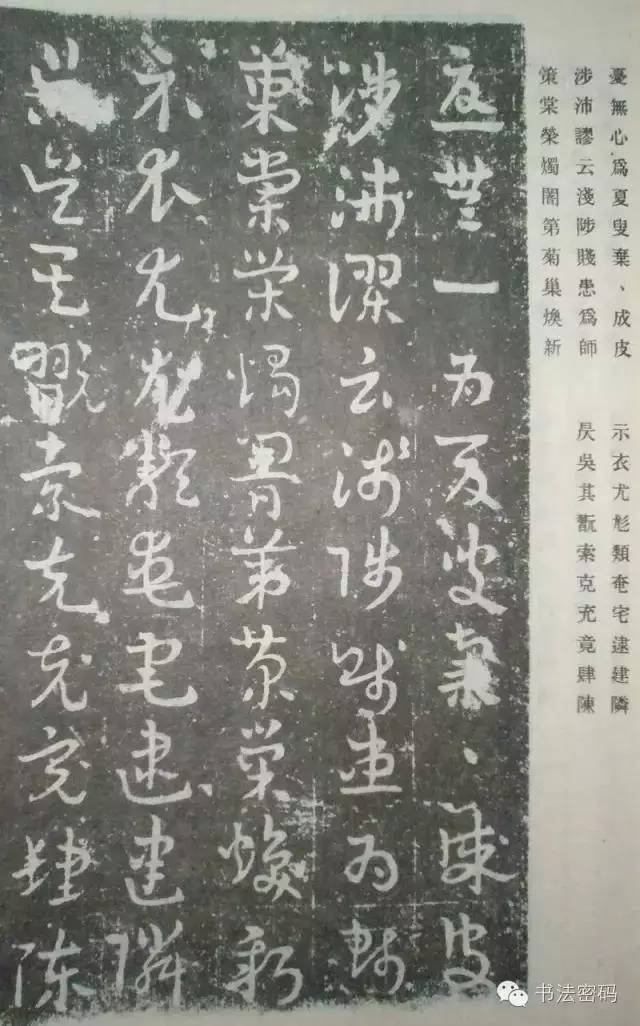 草书主要特点是什么书写有何技巧,草书意义和价值