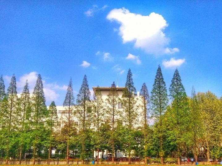 中国治疗帕金森最新进展,江苏哪个医院治疗帕金森病好