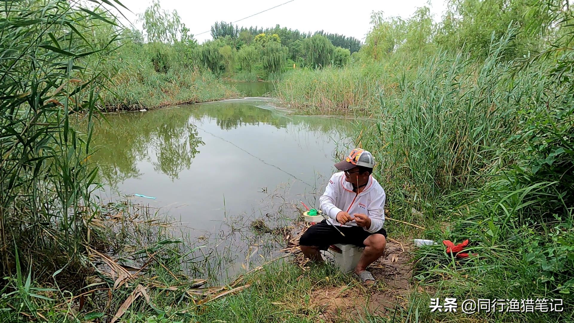 什么样的碳布做鱼竿最好,40t东丽碳布做鱼竿一米成本价多少