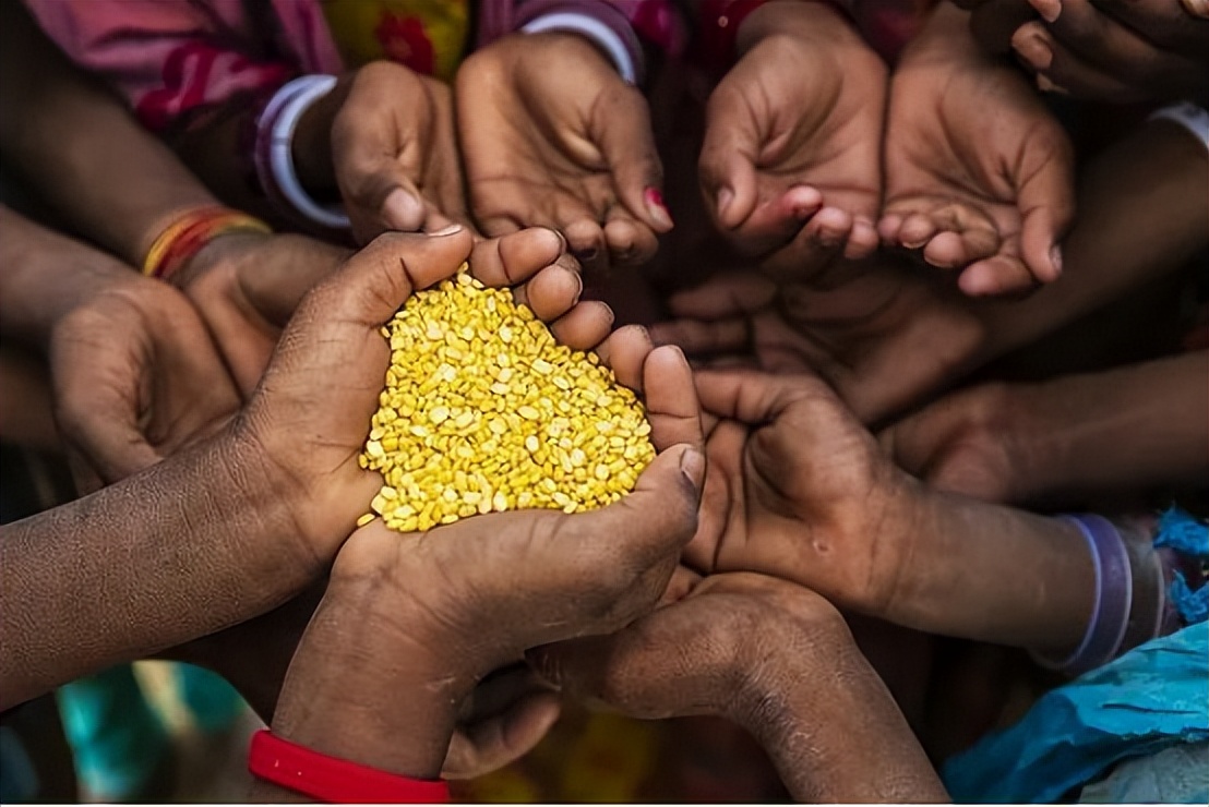 宁愿“亏本”，美国仍要向中国出口粮食，背后到底有何“猫腻”？