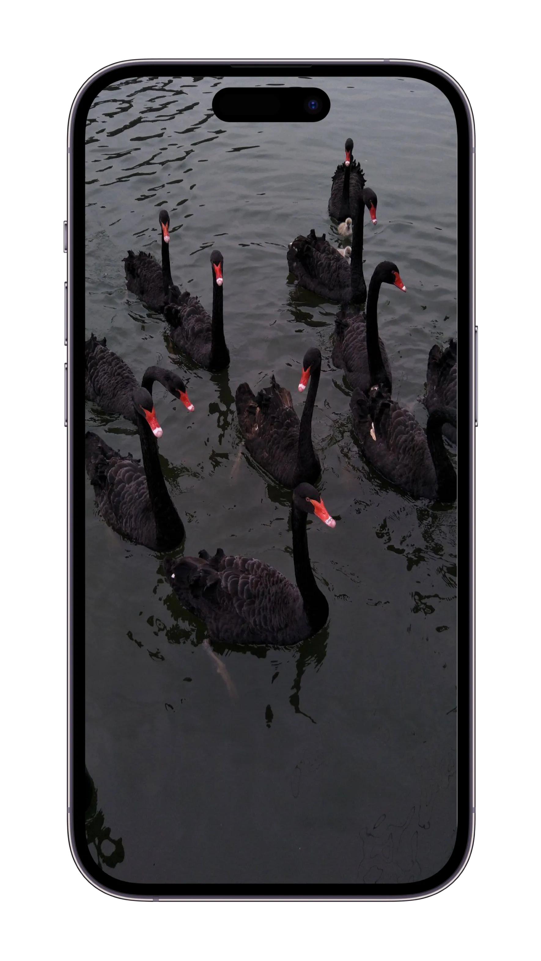 暗黑壁纸女生霸气,壁纸暗黑高级质感