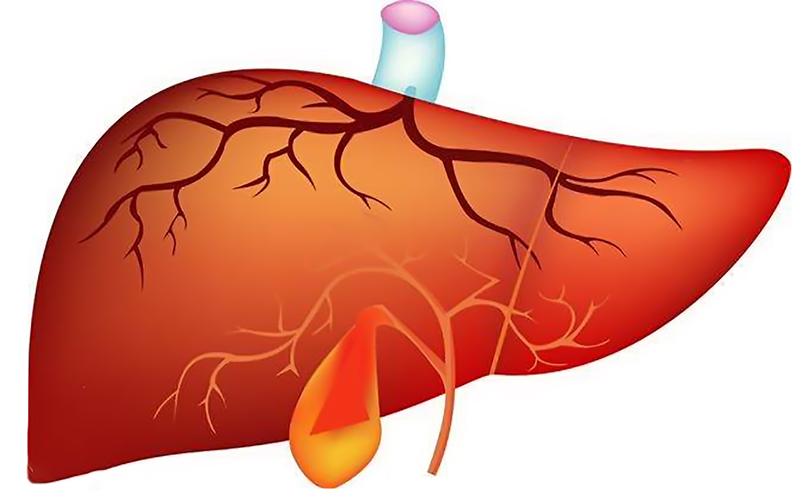 肝癌小细胞癌的治疗方法,肝癌的诊断和治疗方法简答题