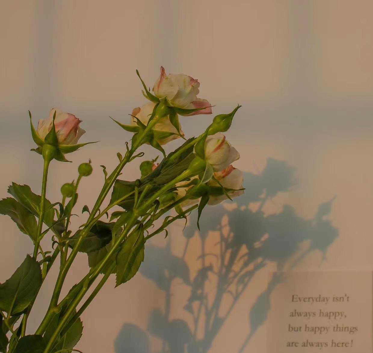 两个真心相爱的情人都有什么表现,相爱夫妻的九大特征