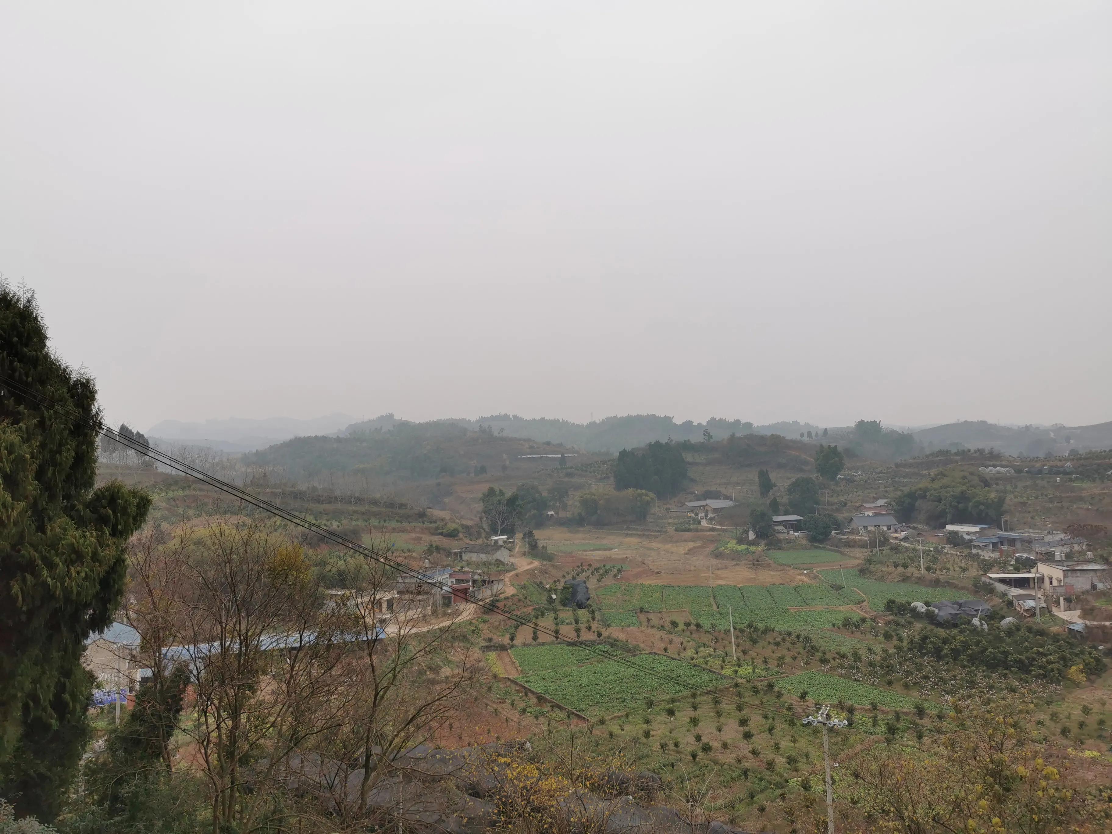 该不该给农民发钱,农村每年给农民发钱