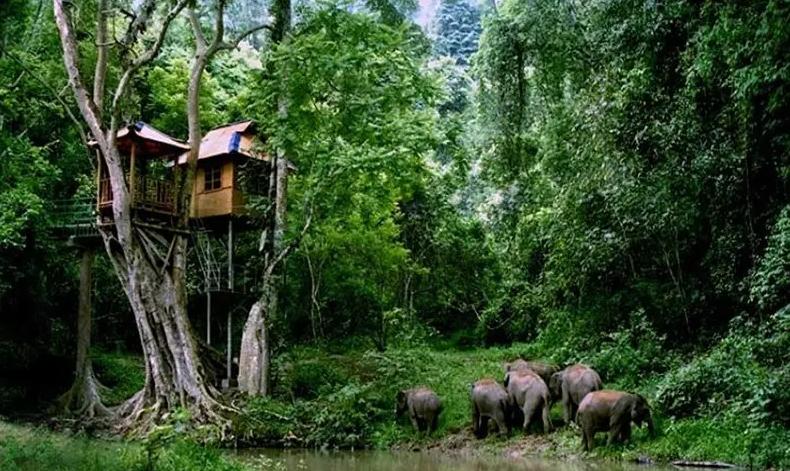 浜戝崡鍐鏃呮父鏅偣鎺ㄨ崘,浜戝崡淇濆北鏃呮父鏅偣澶у叏