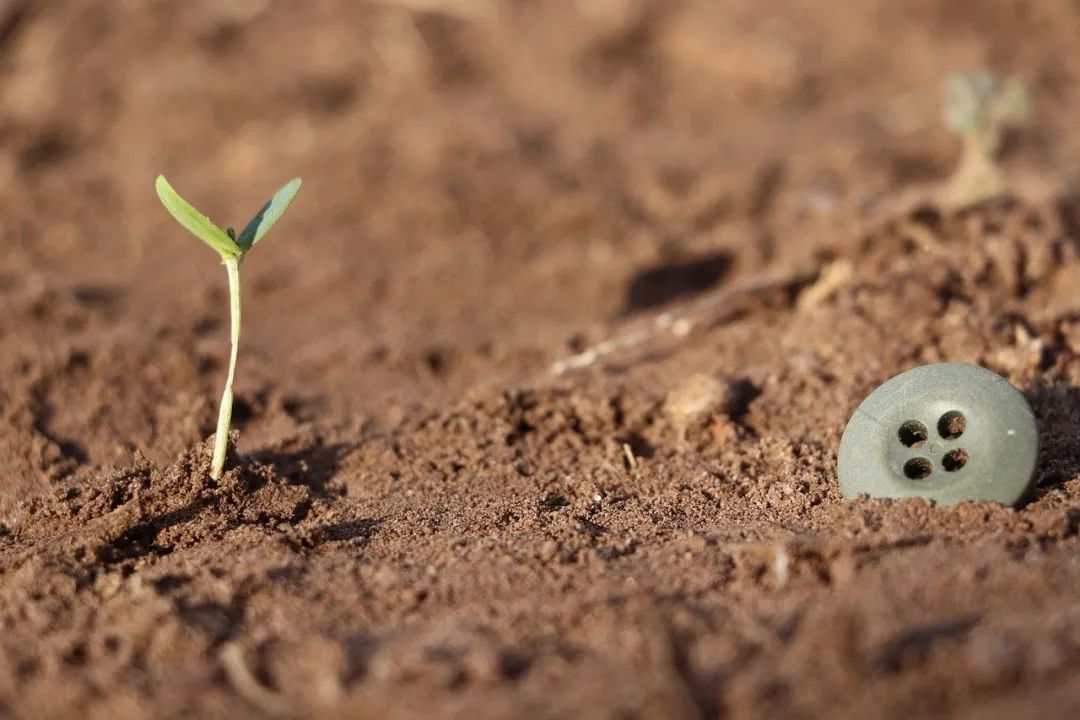 达尔文提出生物进化是什么结果,达尔文改变了世界