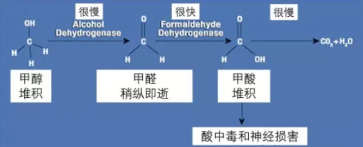 澶哄懡閰掔簿,澶ч噺璐拱閰掔簿