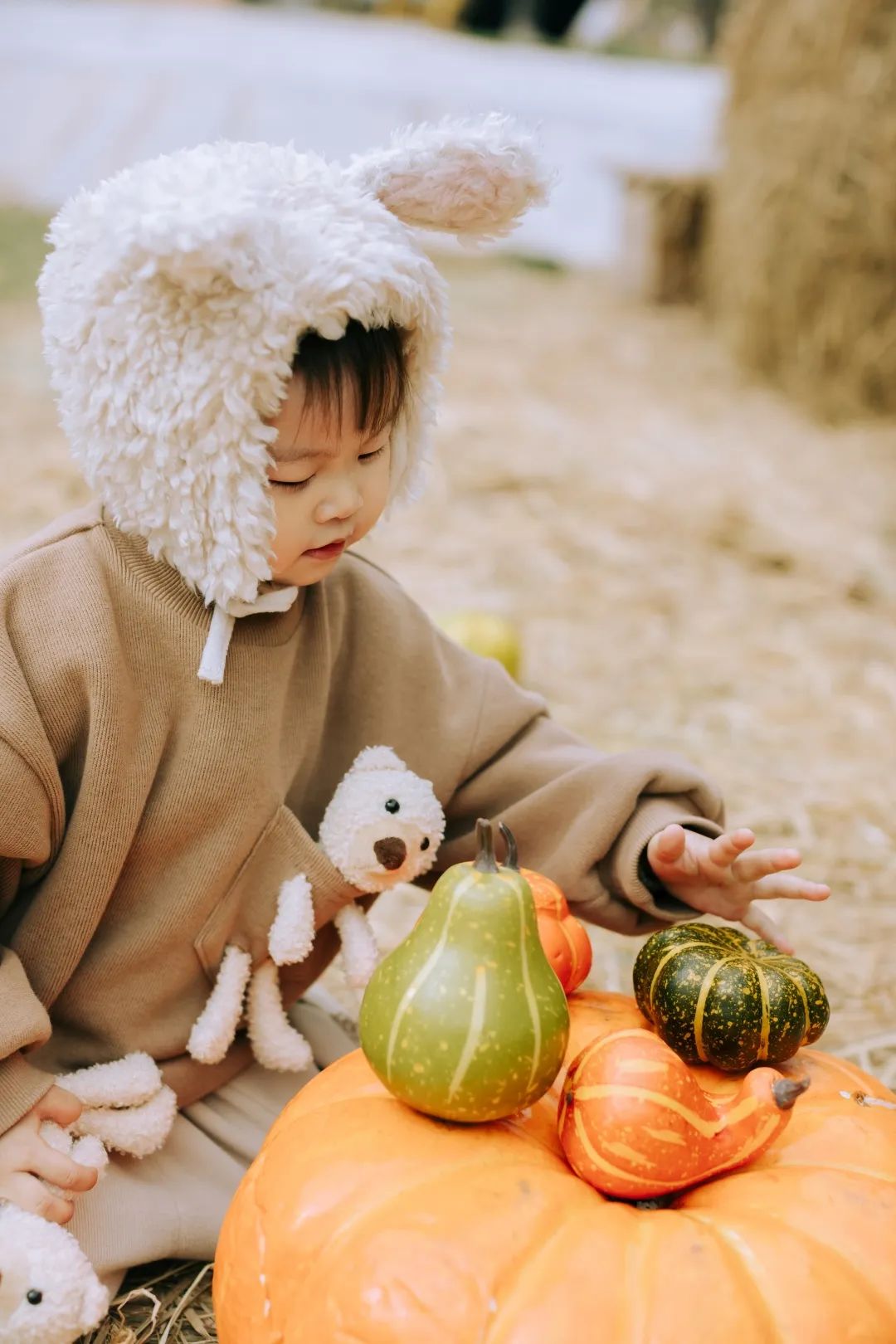 孩子上全托班的最佳年龄,幼儿刚上托班适合上什么课程