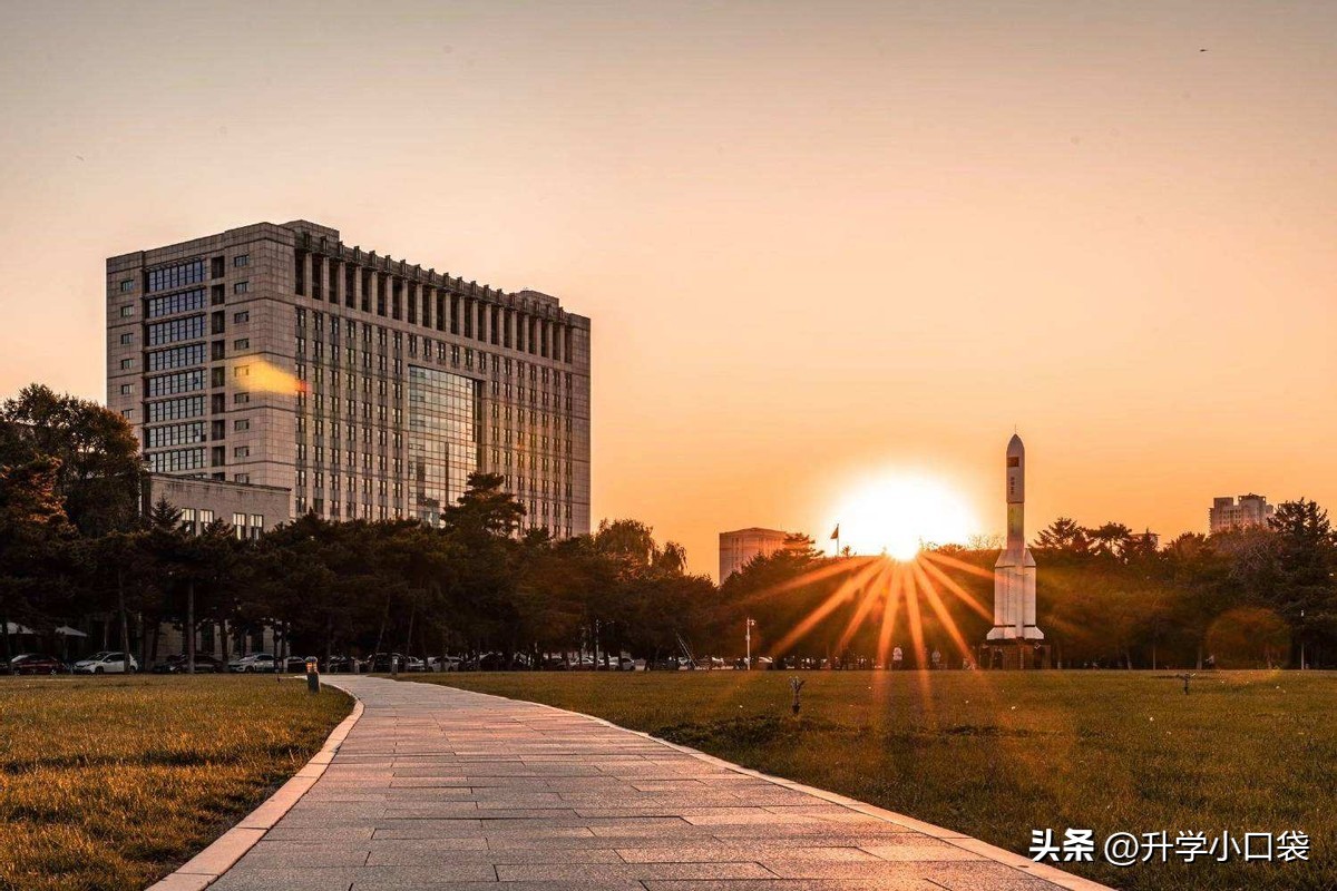 东北大学毕业生去北上广,东北大学2023年毕业生就业情况