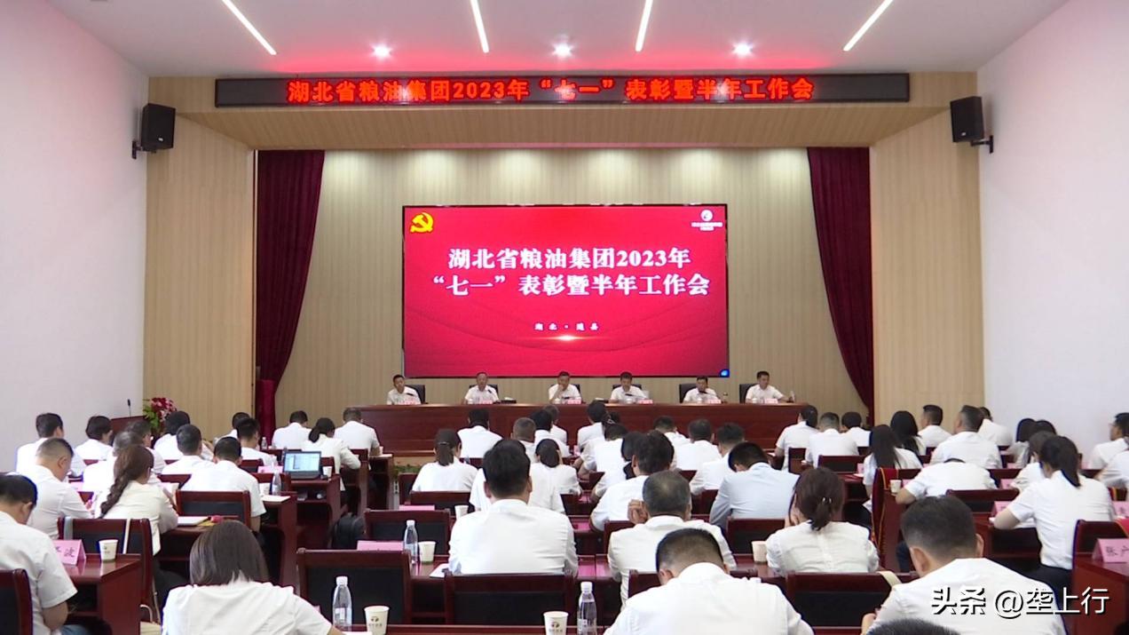 湖北省粮油集团名单,2019粮油销售额