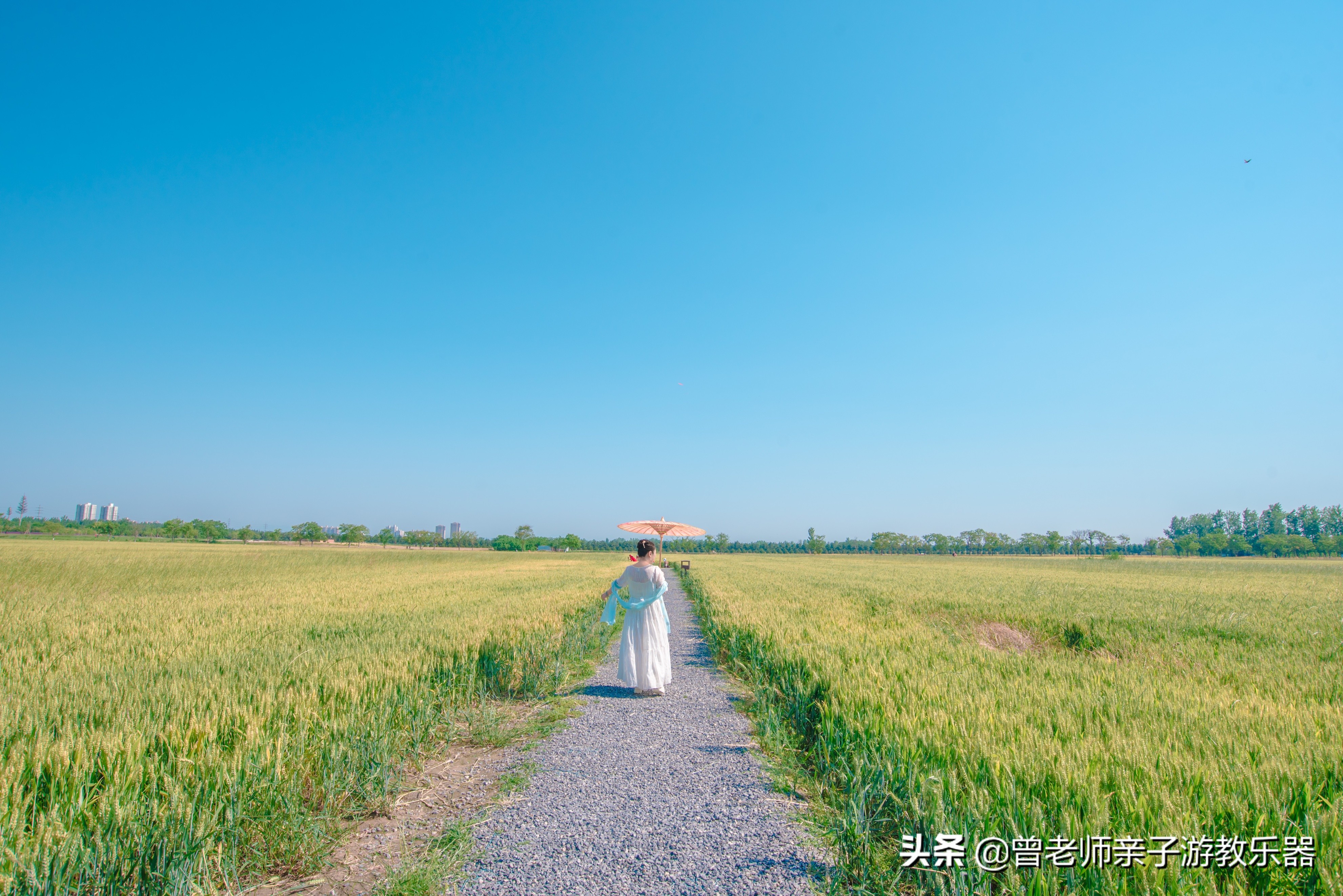 汉长安城未央宫遗址公园露营电话,汉长安城遗址公园露营最新