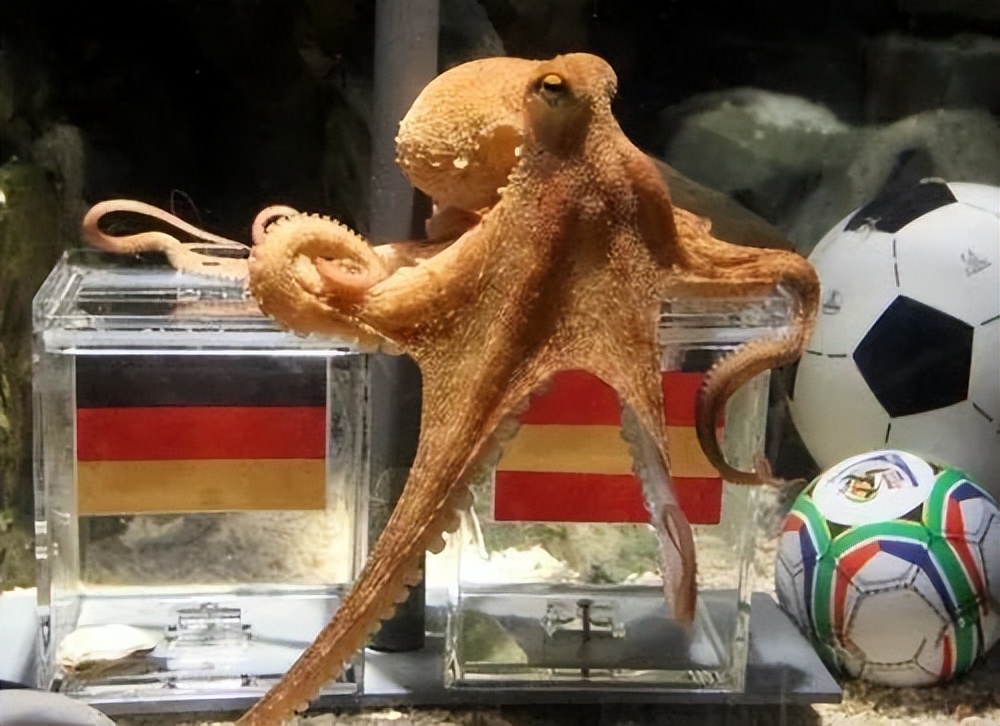 跟10个*球赌**的人聊了聊,他们告诉我几个秘密