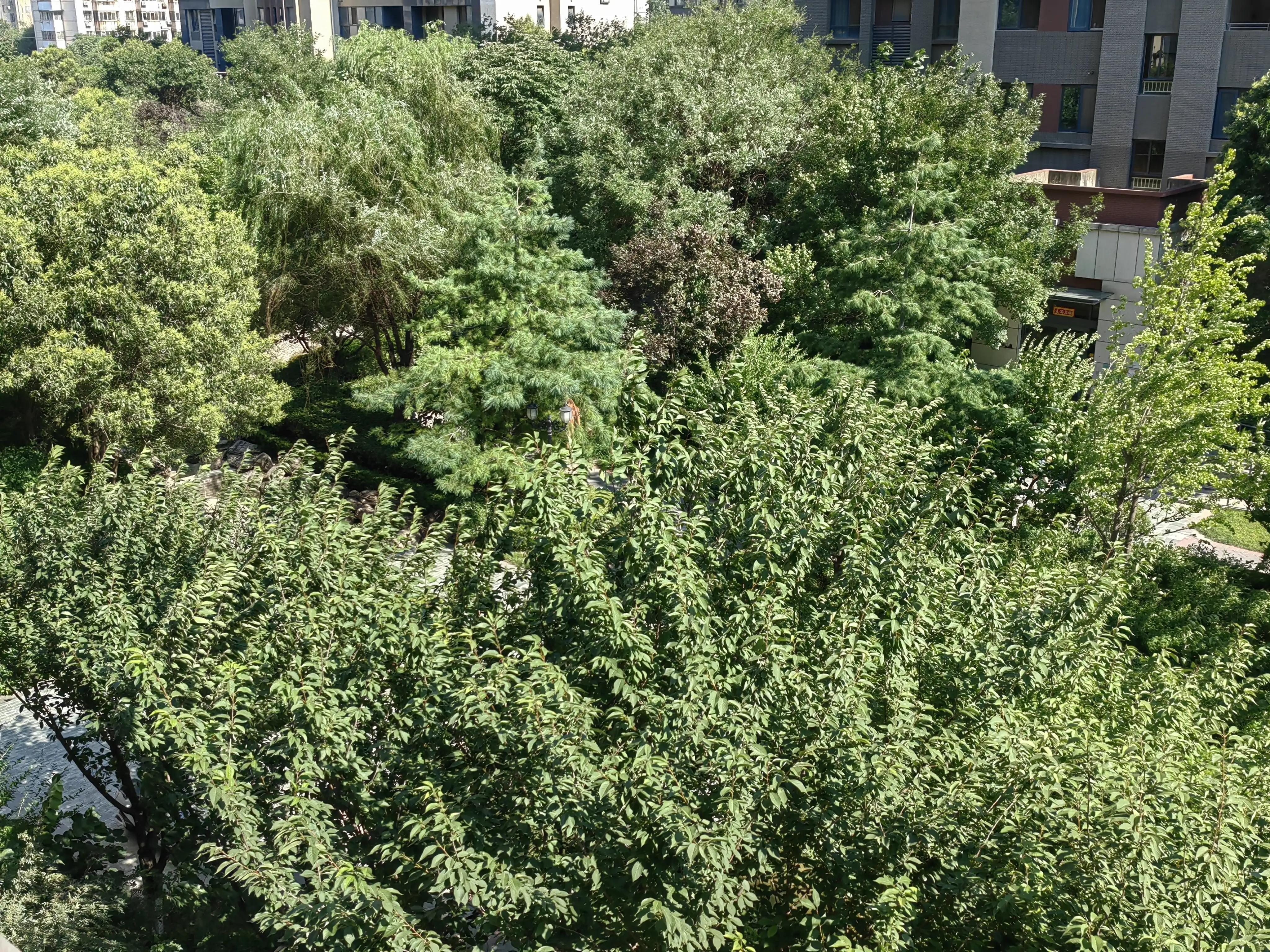 破财消灾其实是好事图片,破财消灾其实是好事说说