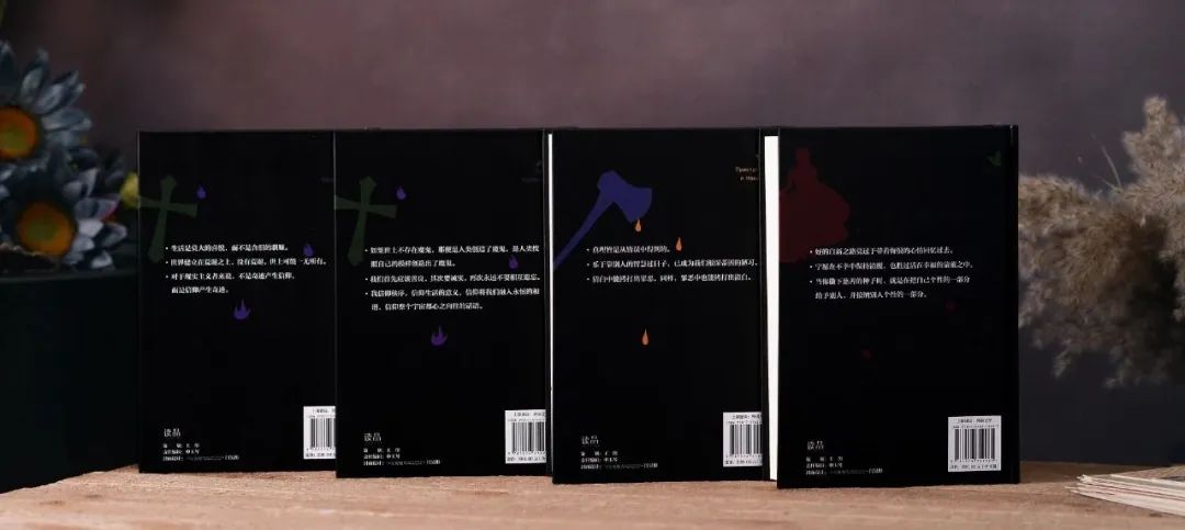 李健董卿访谈,李健与董卿