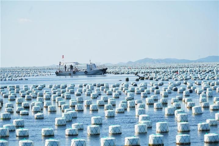 嵊泗列岛有什么景区,中国沿海旅游嵊泗列岛