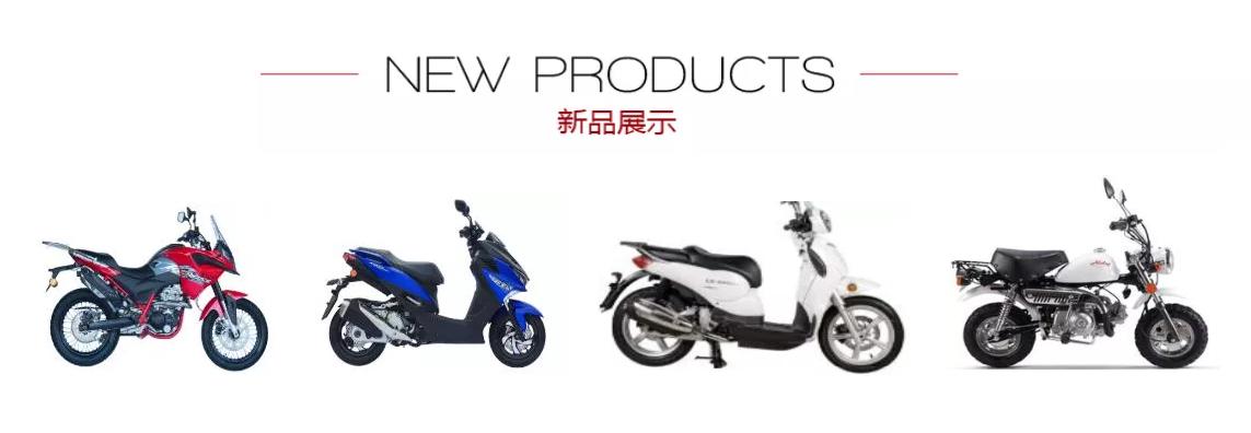 金城双缸跑车枭250售价,金城250跑车