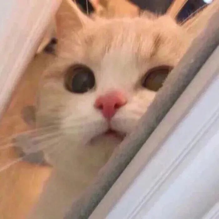 抖音头像动漫男,抖音动漫头像图片