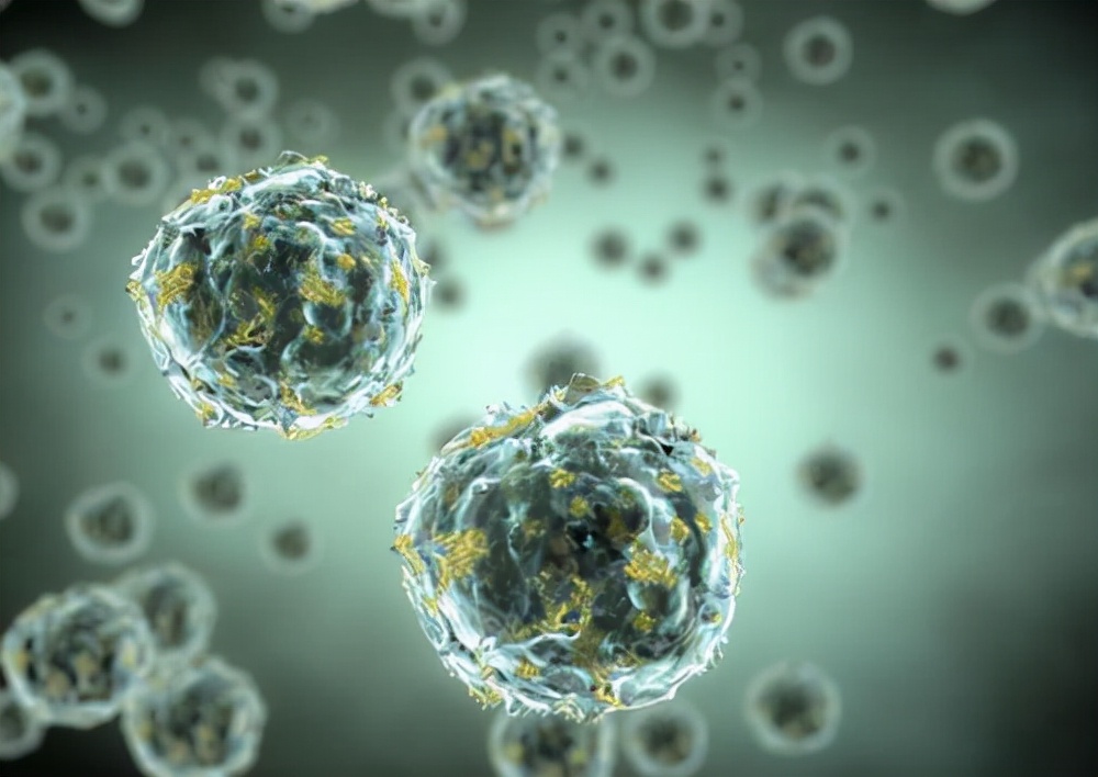 中药新发现？蒲公英能杀死96%癌细胞？真相到底是如何？