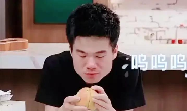 新东方直播带货团队,新东方的带货直播的网红是谁