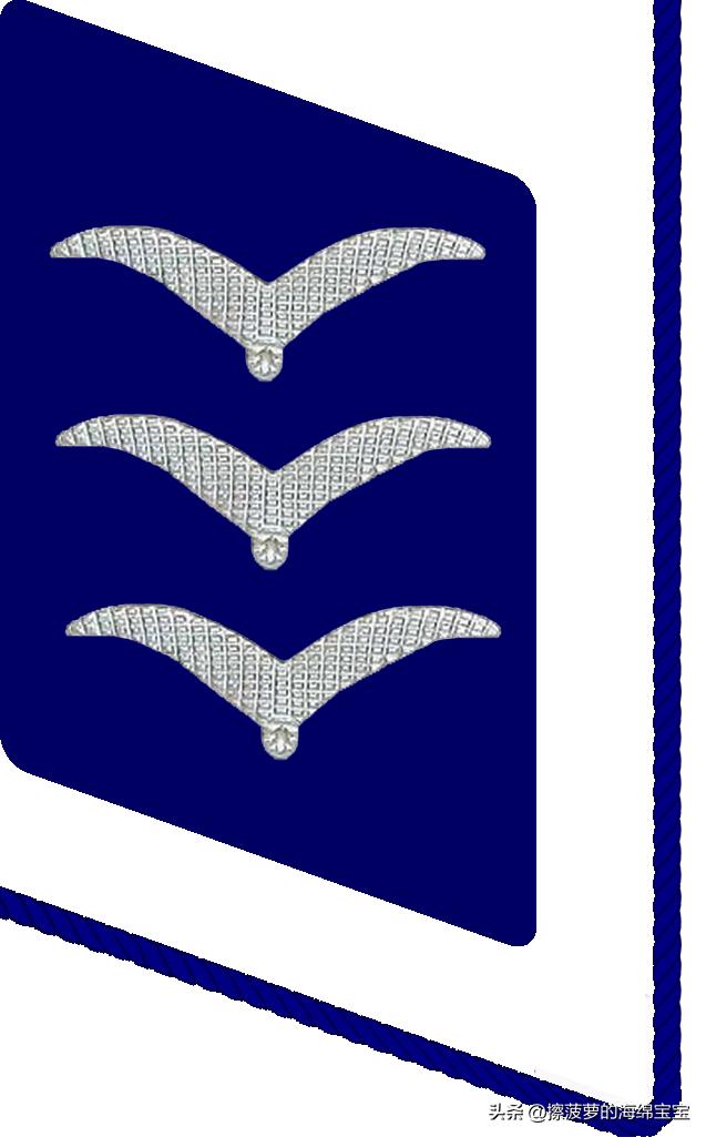 二战德国国防军医疗兵军衔标志