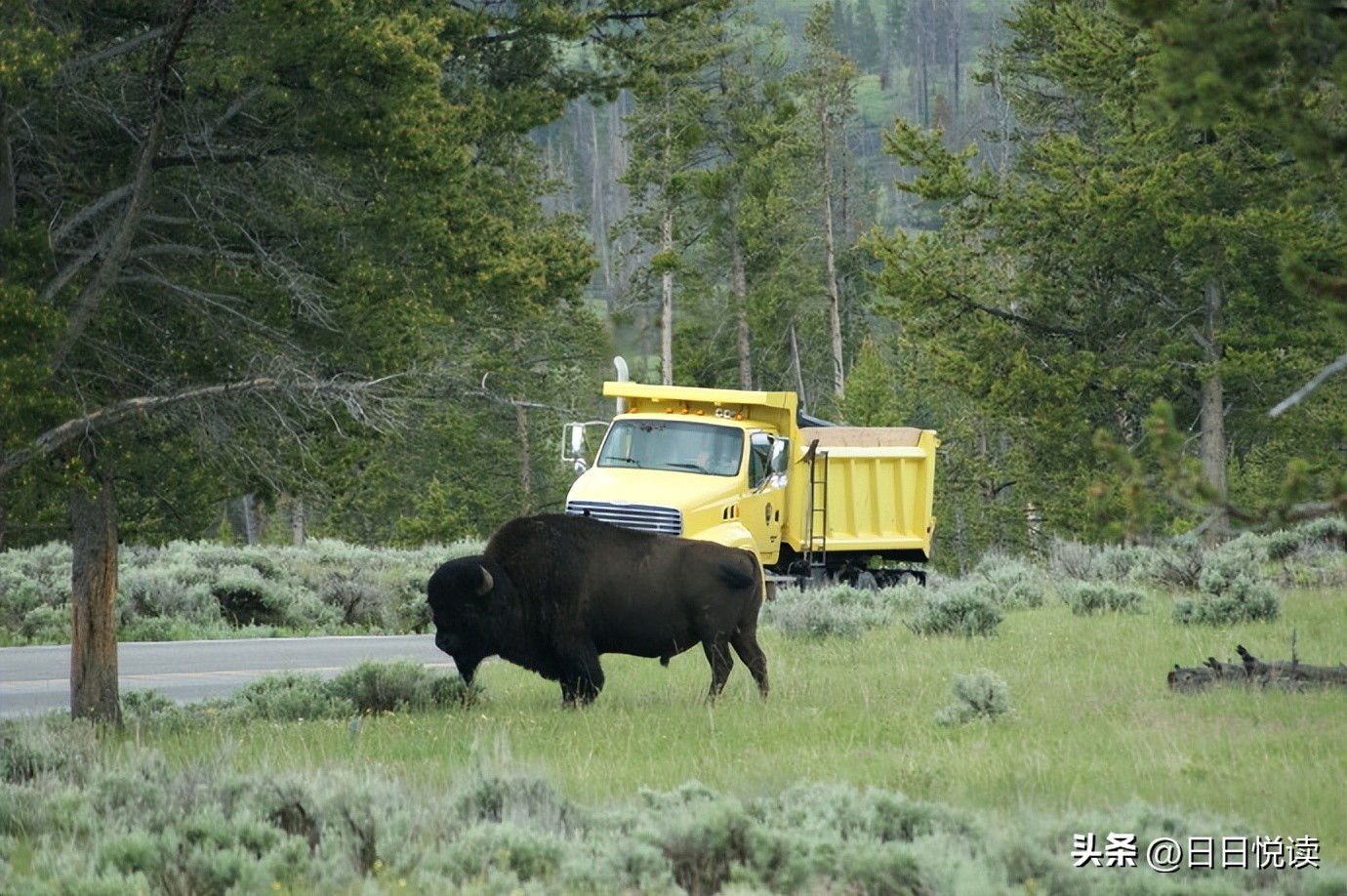 美国黄石国家公园经典风景图片,美国黄石国家公园在地图怎么找