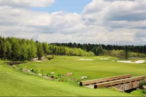 高尔夫常用英文术语,高尔夫的知识有哪些