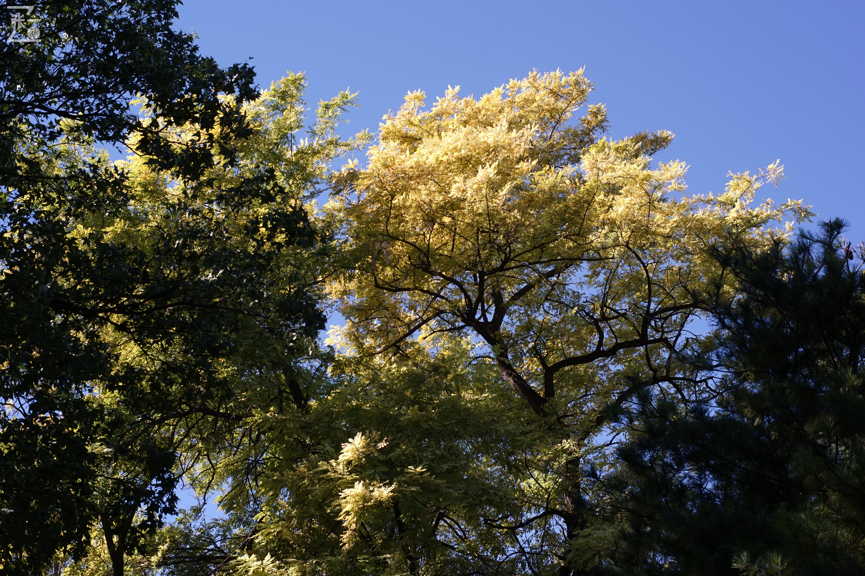老镜头实拍,老镜头拍北京