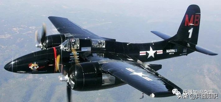 飞天的猫,飞天的猫和鱼