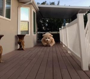 码住怎么读,工作后申请留学怎么准备推荐信