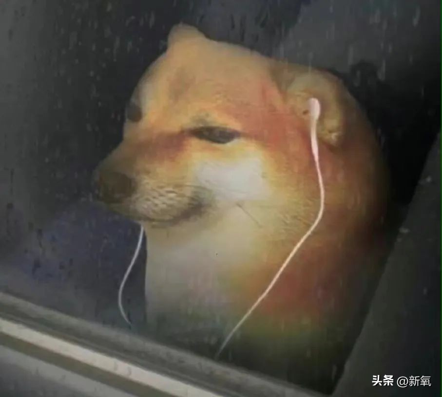 发际线高低怎么样才合适,发际线高低有没有影响运气