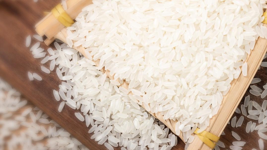 舜丰科普|水稻：源于中国的口粮大户