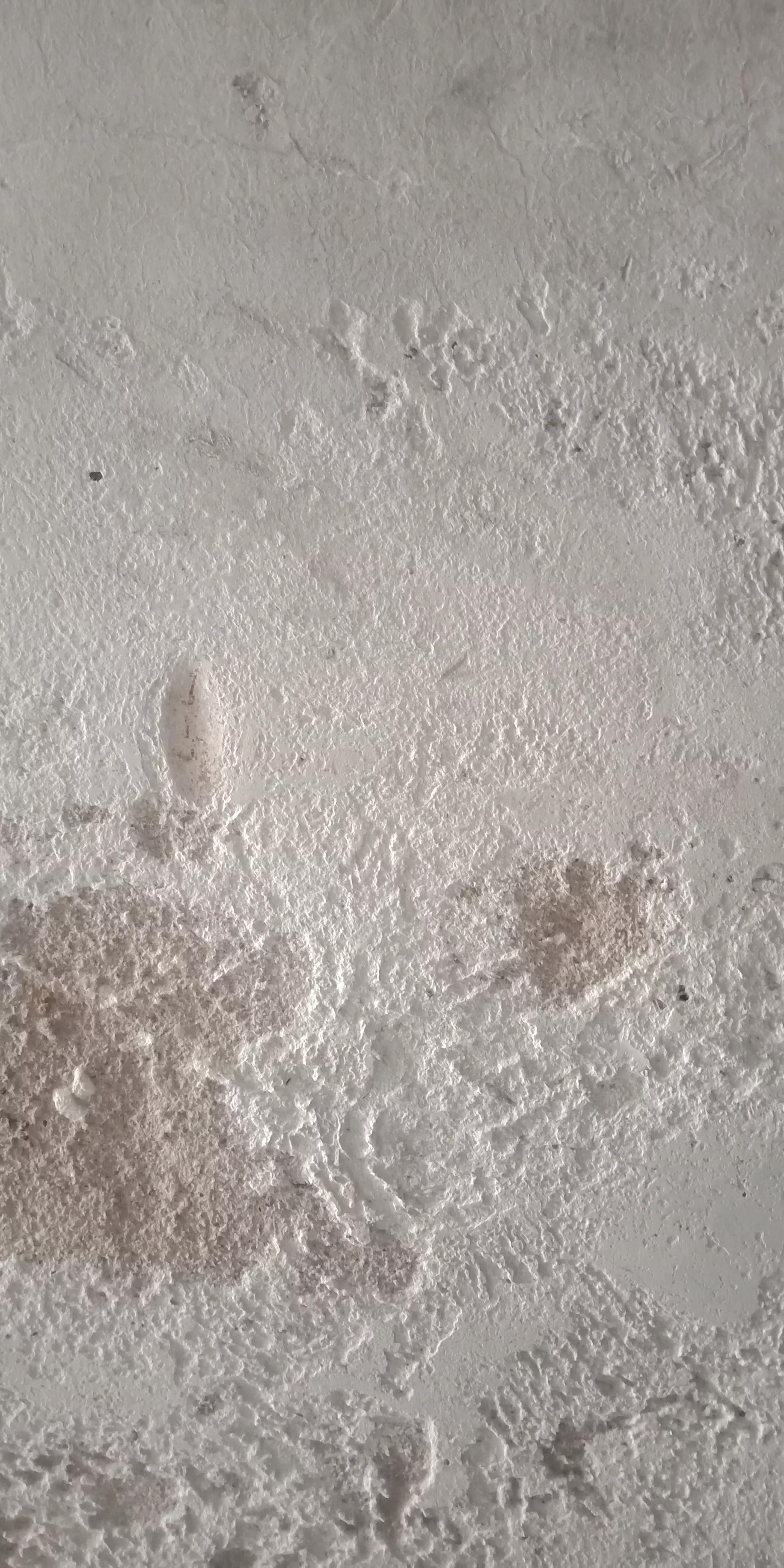 房屋漏水房顶需要怎么改造,旧房改造后楼顶漏水找哪里处理