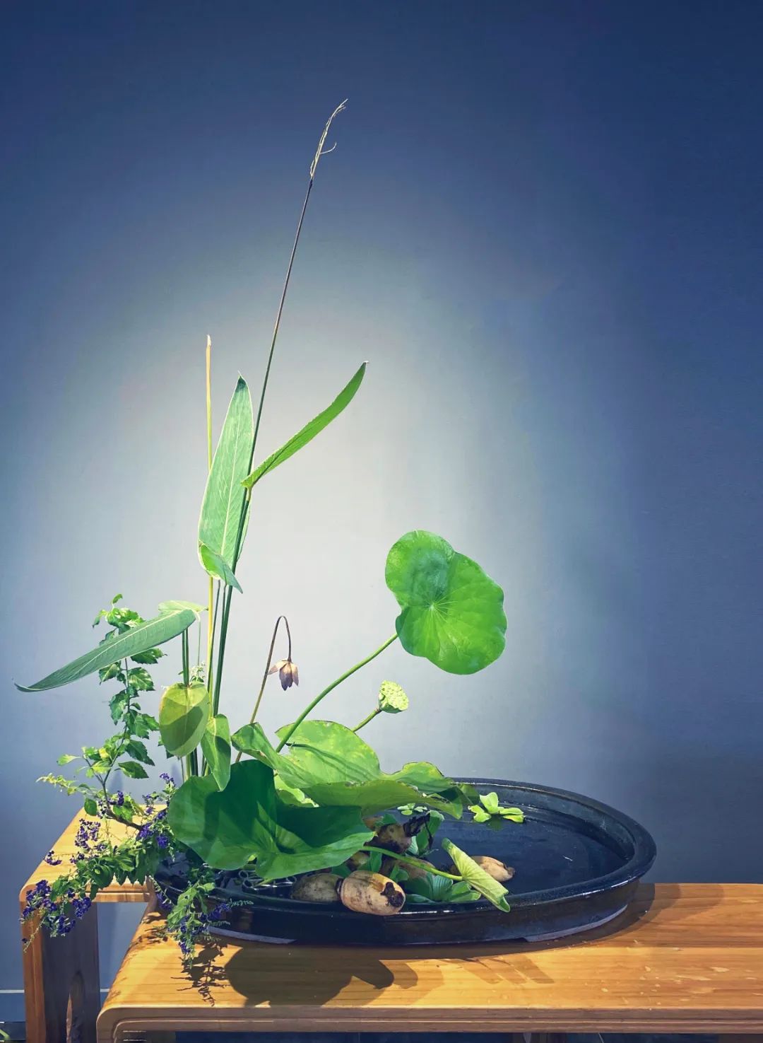 日本顶级禅意插花荷花,日式荷花插花