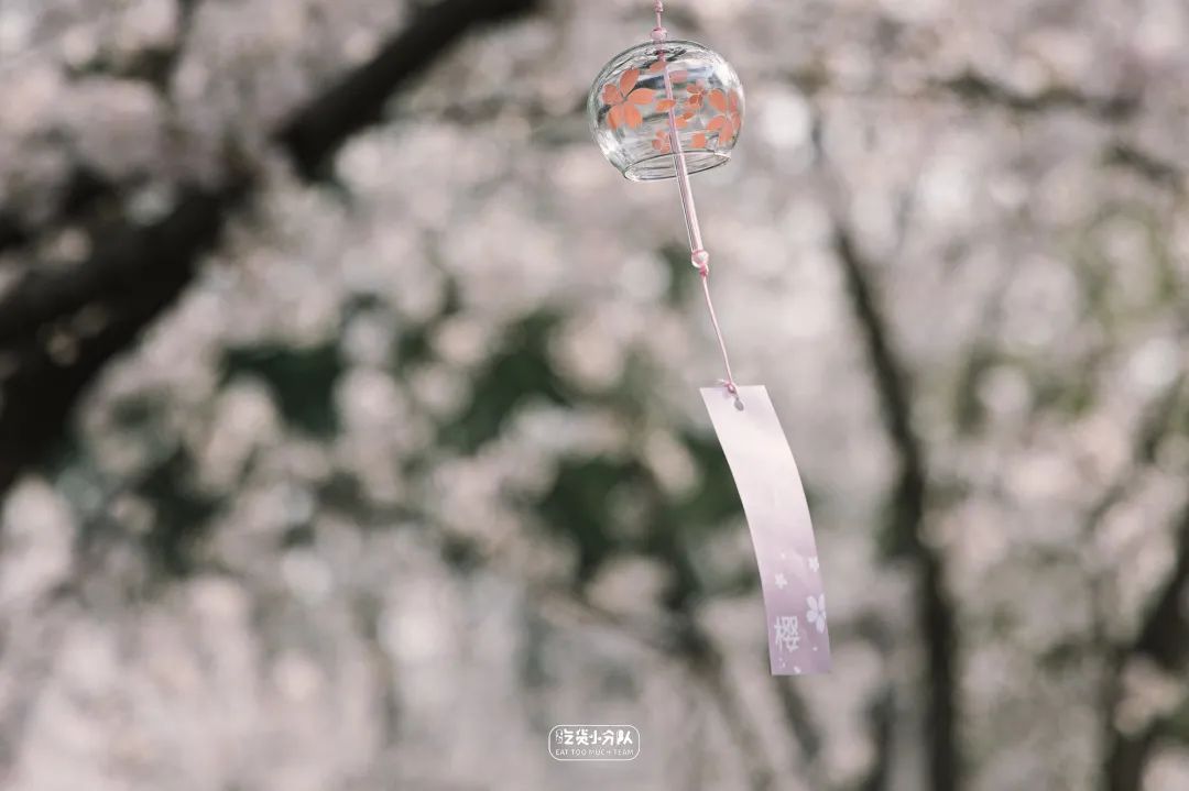 樱花最旺盛的时间,樱花最茂盛的时候是哪个季节