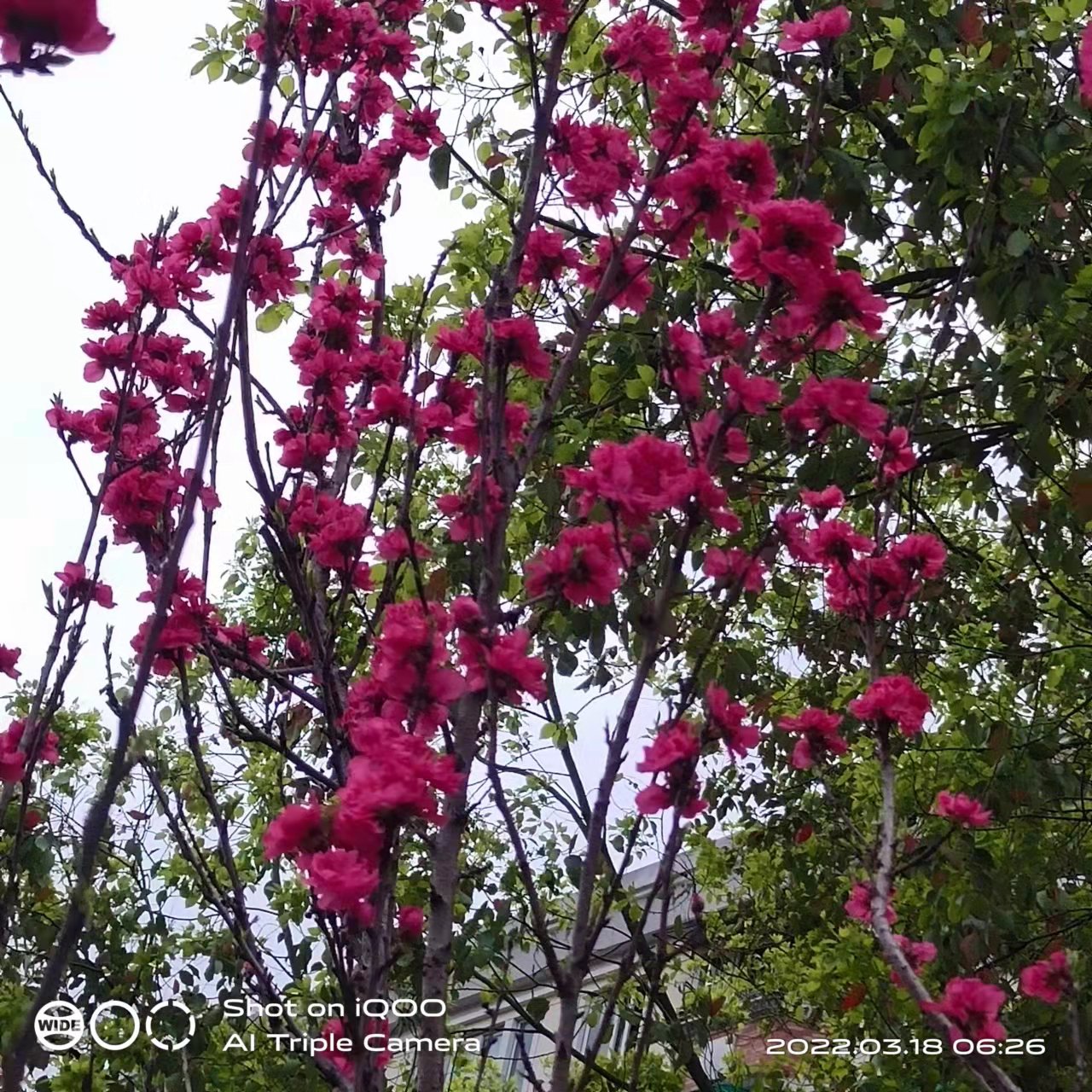 萧山风景拍照打卡地,萧山网红打卡景点春季