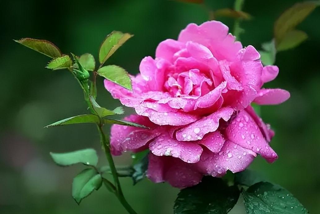 火葬场抬尸禁忌故事,土葬火葬场烧尸民间故事